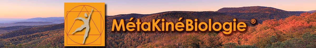 metakineobio